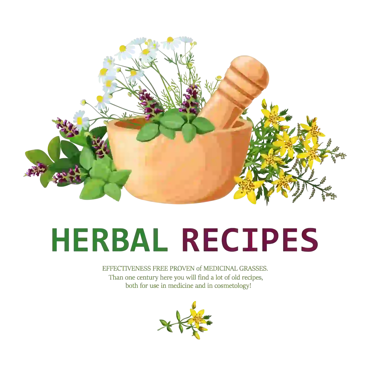 Herbal bowl with flowers and leaves showcasing traditional natural remedies